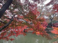 -虞山风景区