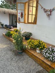 -DORA kids 朵拉儿童摄影花园店