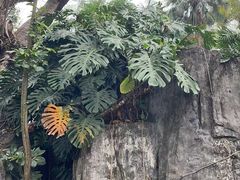 -晓港公园