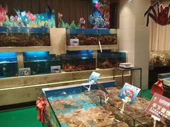水产区-海景壹号大酒店(惠钱路店)