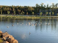 -长春市南湖公园