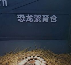 -恐龙探索乐园(磁器口店)