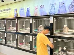 -翊宠yipet猫狗购宠庄园
