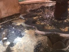 -万里闯关东铁锅炖菜馆(高新旗舰店)