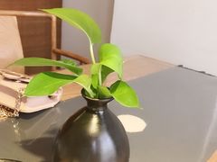-稍可轩博物馆餐厅
