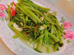 -Red Lobster