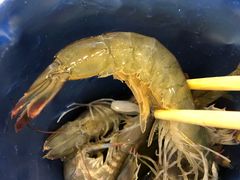 -澜悦港海鲜体验主题餐厅