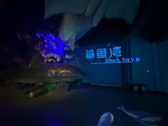 -泉城欧乐堡海洋极地世界