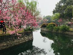 -无锡蠡湖国家湿地公园-蠡园