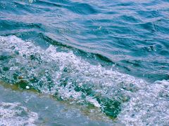 -海源公园