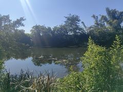 -荔江湾景区