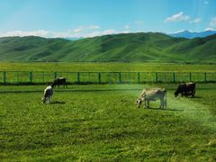 -新疆那拉提国家旅游度假区