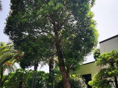 -天悦阁海景酒廊