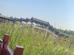 -西海子公园