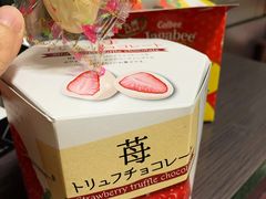 -关西国际机场直营免税店