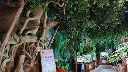 -酷嗒动物文化乐园(cutezoo西溪乐天城店)