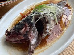-船歌·鱼水饺青岛菜(闽江二路店)