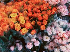 -循礼门鲜花花市(武汉循礼门店)