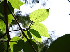 -同里国家湿地公园