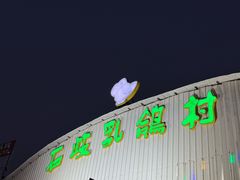-石岐乳鸽村(桥观坊南四巷店)
