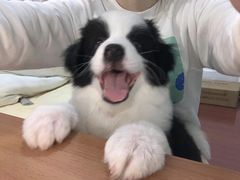 -龙湖南京江北天街