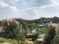 -贵阳市花溪国家城市湿地公园