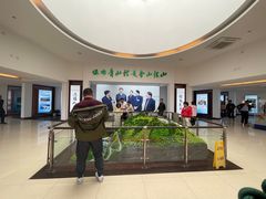 -江南天池
