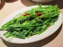 凉拌龙须菜-吴氏老妈·23年家常菜(古城店)