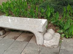 -重庆彩云湖湿地公园