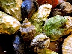 -大锅强·蒸海鲜青岛菜(吾悦广场店)