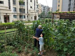 -首开·常青藤二期