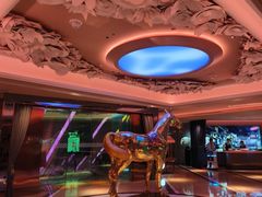 -纯K(打浦桥店)