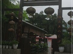 -先机泉水鸡汤(南山老君洞店)