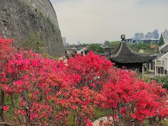 -老门东历史文化街区