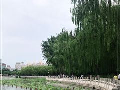 -莲花池公园