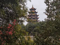 -铁山坪森林公园