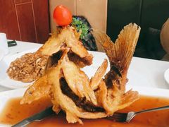 糖醋鲤鱼-闫府私房菜·百年鲁菜(恒隆店)