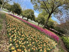 -上海鲜花港