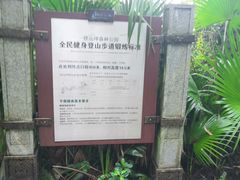 -铁山坪森林公园