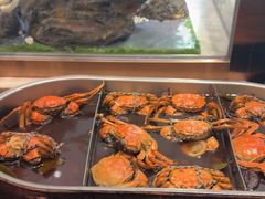 -菲住布渴酒店自助餐厅(阿里巴巴西溪园区店)