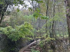 -莫干山风景区