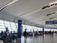 -合肥新桥国际机场-航站楼