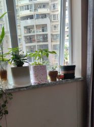 -厦门美莱整形美容医院