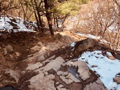 -北京鹫峰国家森林公园