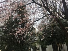 -堤角公园
