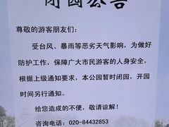 -晓港公园
