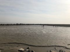 -南汇嘴观海公园