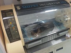 -美美宠物诊疗中心·异宠·骨科(滨江东信分院)