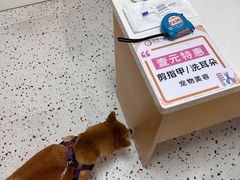 -瑞派康怡24h宠物医院·犬猫医疗中心·微创绝育(瑞景分院)