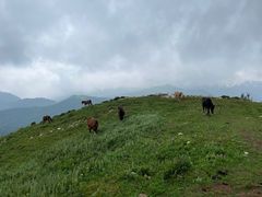 -灵山